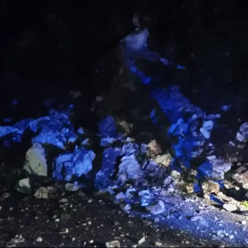 Derrube-en-carretera-que-comunica-de-San-Jorge-hacia-Panajachel.jpeg ,