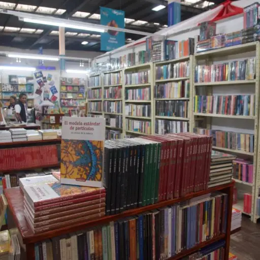 Foto: Omar Solís/EU