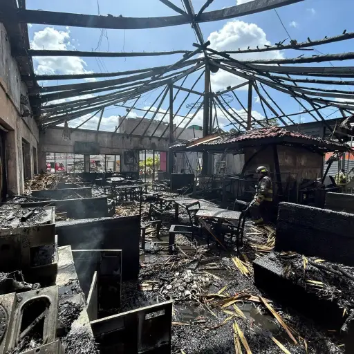 Comunicado-Los-Cebollines-julio-2024.webp ,