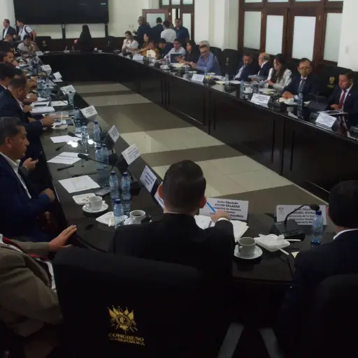 Comision-de-Asuntos-Municipales-Exoneracion-empresas-electricas-municipales-scaled-1.webp ,