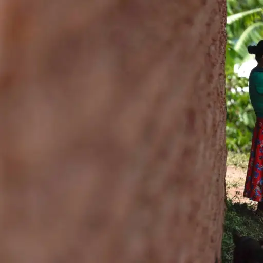 mexicanos-refugiados-violencia-guatemala-emisoras-unidas.webp ,