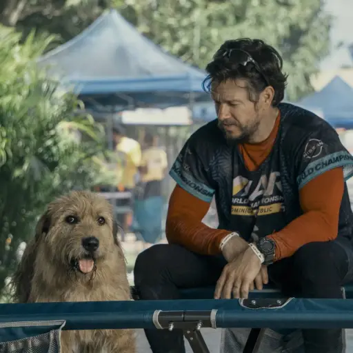 Mark-Wahlberg.webp ,