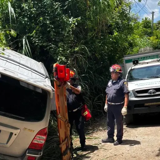 menor-sobrevive-a-ataque-1.webp ,