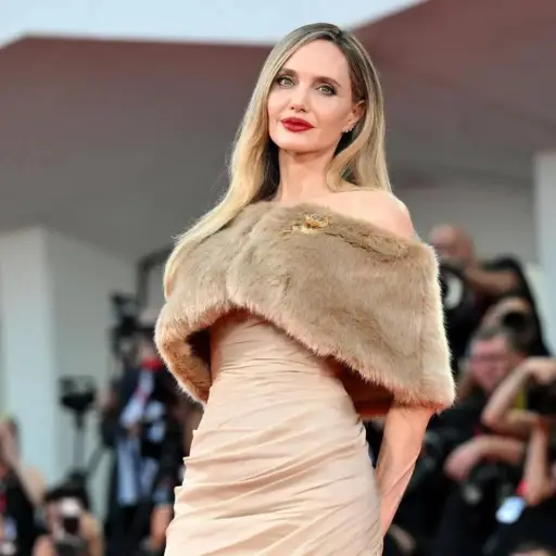 angelina-jolie-2.webp ,