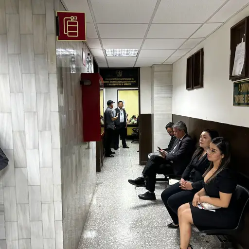 alejandra-chiroy-exdirectora-padrones-tse-semilla-emisoras-unidas.jpg ,