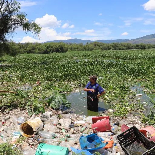 Limpieza-del-Lago-de-Amatitlan.jpg ,