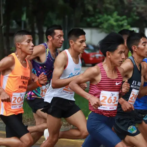 10k-ciencias-economicas-portada.webp ,