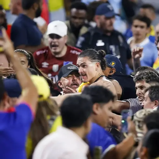 pelea-jugadores-uruguay-aficionados-colombia-julio-2024-scaled-1.webp ,