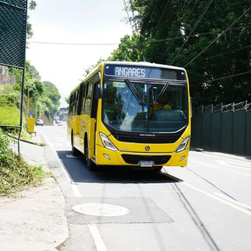 transpinula-nueva-ruta-2.webp ,