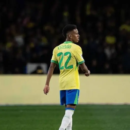 estevao-brasil.webp ,