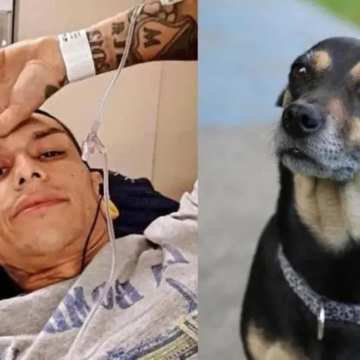 Javier-Acosta-perrita.webp ,