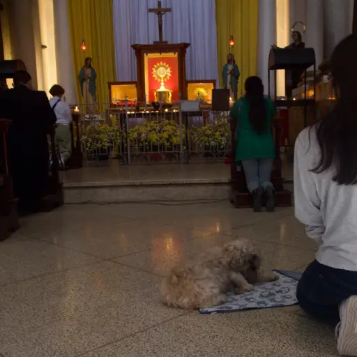 iglesia-mascotas-dia-san-francisco-asis-emisoras-unidas3-scaled-1.jpg ,