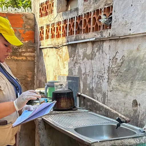 Jornadas-de-erradicacion-del-mosquito-del-dengue-Foto-OPS-OMS.jpg ,