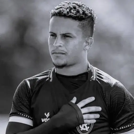 ricardinho-brasil.webp ,