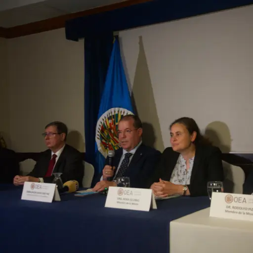 mision-observacion-oea-eleccion-cortes-emisoras-unidas1.jpg ,