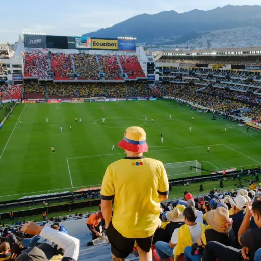 fifa-sanciona-ecuador.webp ,