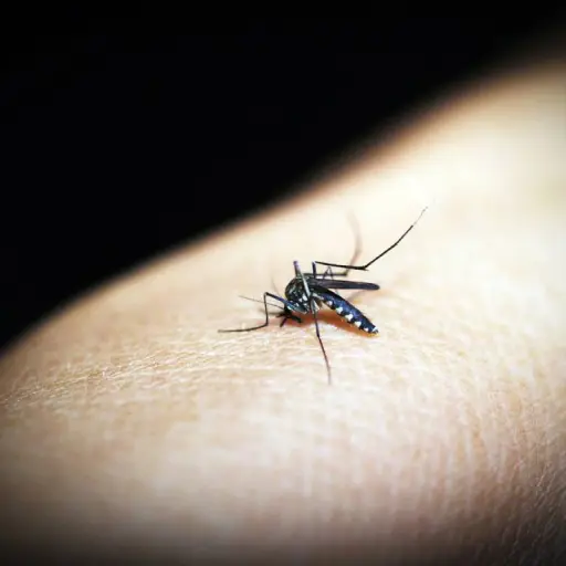 oms-lanza-plan-global-para-combatir-dengue-emisoras-unidas.webp ,