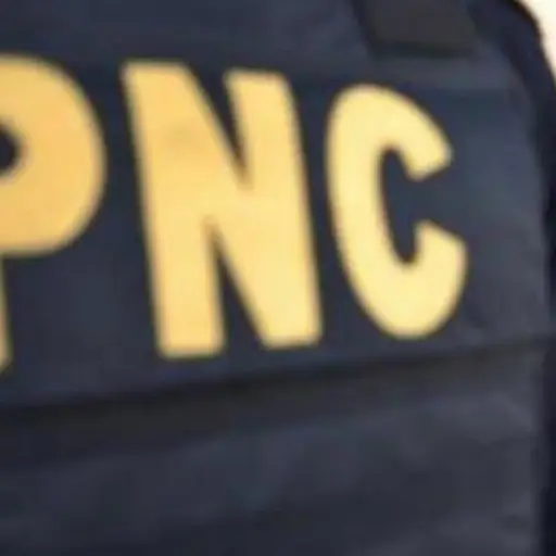 agentes-pnc-capturados-hurto-alimentos-emisoras-unidas.jpg ,