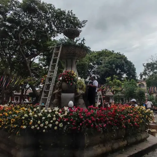Festival-de-las-Flores-de-Antigua-Guatemala-2024-durante-este-sabado-16-de-noviembre-de-2024.jpg ,