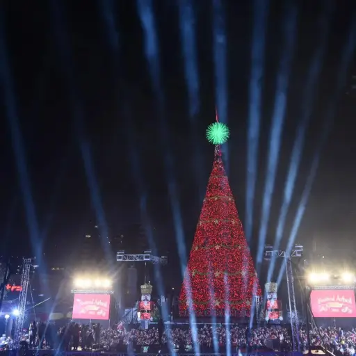 Festival-del-arbol-gallo-2024.webp ,