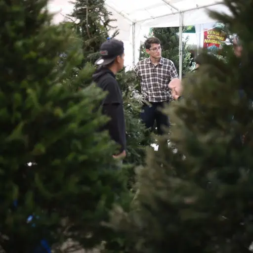 feria-pinabete-mercado-artesanias-emisoras-unidas1.jpg ,