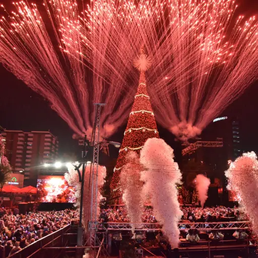 Arbol-Gallo-2024-17-11-2024-10.jpeg ,