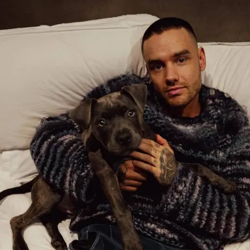 Liam-Payne-One-Direction.webp ,