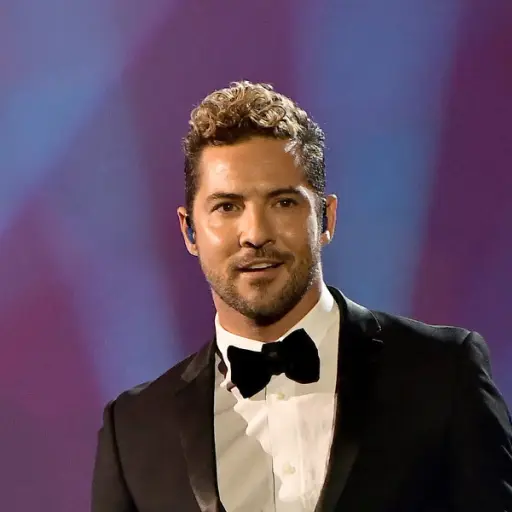 david-bisbal-990x600_1.jpg ,