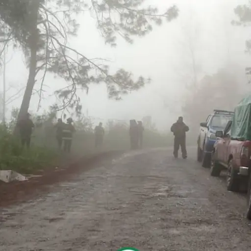 desaparecidos-productores-cardamomo-alta-verapaz-emisoras-unidas.png ,