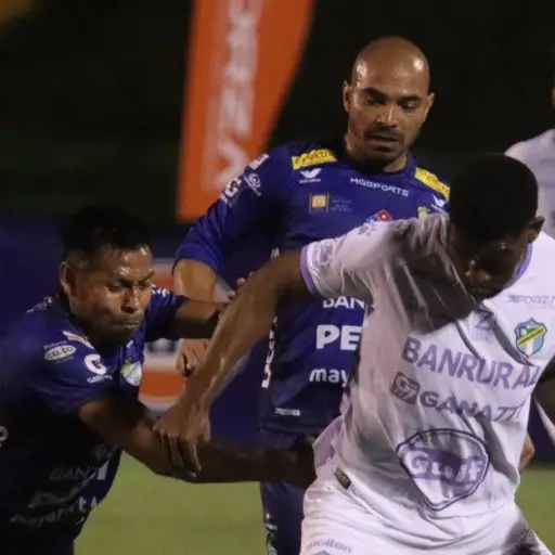 coban-comunicaciones-apertura-2024-noviembre-2024-1-1.webp ,