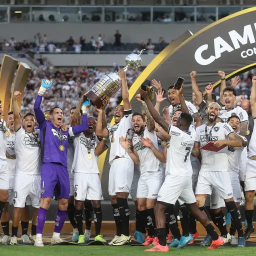 botafogo-campeon-copa-libertadores.jpg ,