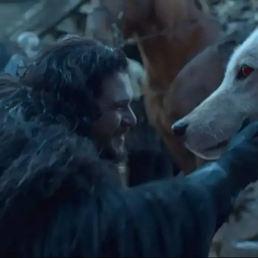 Los lobos terribles o gigantes, que se hicieron famosos gracias a la serie. ,Redes sociales