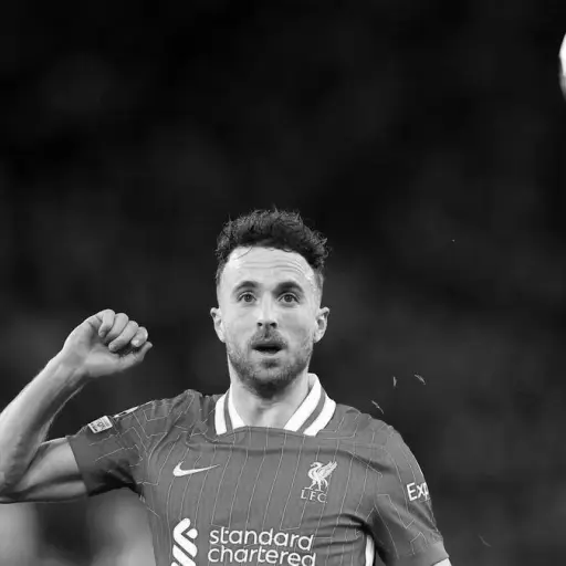 Piloto de tráiler grabó el Lamborghini de Diogo Jota. ,Redes sociales.