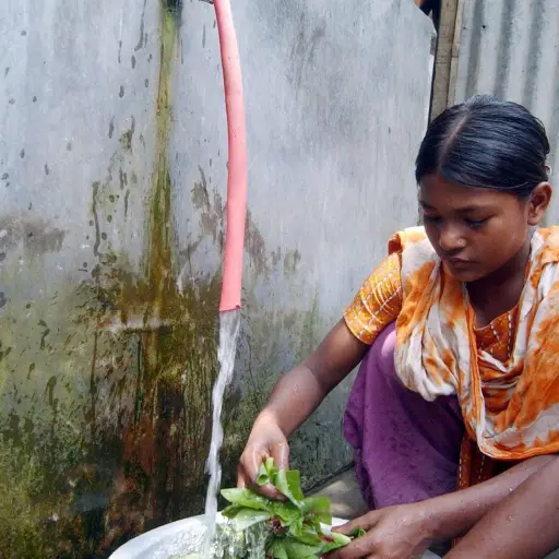 En la imagen de archivo, una niña bangladesí limpia verduras con agua contaminada por arsénico en Pakunda, cerca de Daca, capital de Bangladés , EPA/Mufty Munir