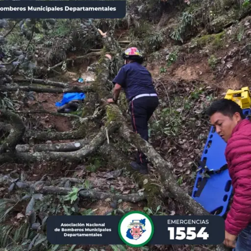 Hombre muere al caerle un árbol en Tejutla, San Marcos