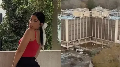 Leah Palmirotto - Stranger Things ,Redes sociales