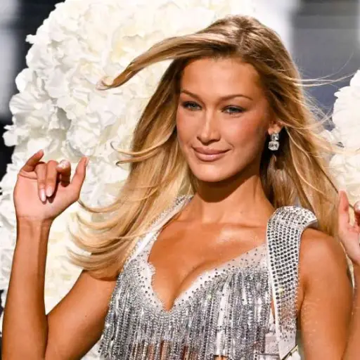 Bella Hadid ,Instagram