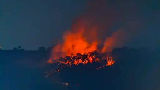 Los cuerpos de rescate informaron que el incendio se inició el pasado sábado. ,Bomberos Municipales Departamentales. 