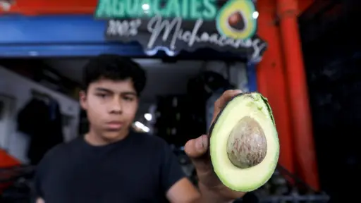Productores de aguacate en México destacan en las exportaciones récord a Estados Unidos 