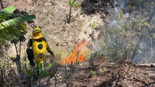Expertos combaten un incendio en la aldea El Palmar, de Olopa, Chiquimula. ,Conred