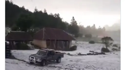 El granizo cubrió todos los terrenos, que según comunitarios, tenían cultivos de maíz y papa. ,Captura de pantalla.