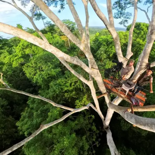 Selva Maya en Jaque ,Foto cortesía