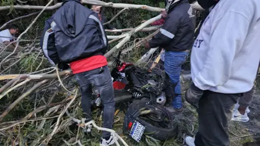 Un árbol cayó sobre dos personas que viajaban en una motocicleta. ,Foto Bomberos Municipales Departamentales