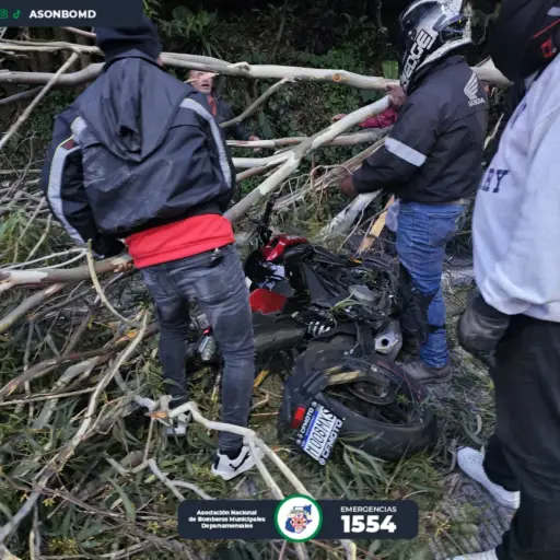 Un árbol cayó sobre dos personas que viajaban en una motocicleta. ,Foto Bomberos Municipales Departamentales