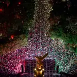 Festejos en el Ángel de la Independencia en la Ciudad de México tras el triunfo contra Ecuador. ,EFE
