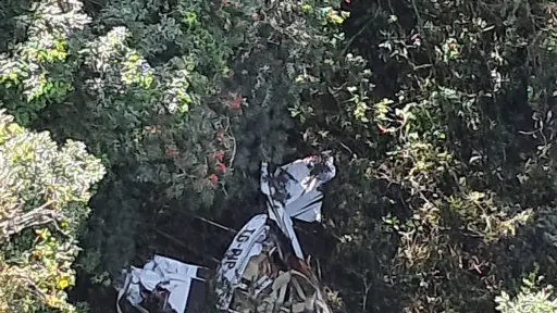 La avioneta fue encontrada en una zona boscosa. ,Bomberos Voluntarios.