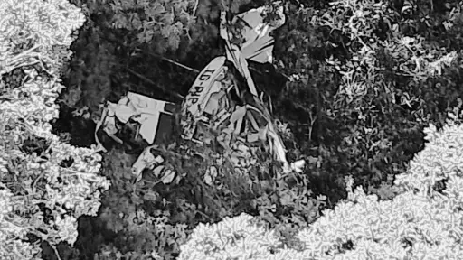 La aeronave fue encontrada en una zona boscosa, informaron las autoridades. ,Bomberos Voluntarios.