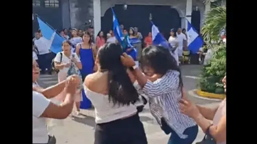 El incidente ocurrió ante la mirada de varios asistentes al parque central.  ,Captura de pantalla