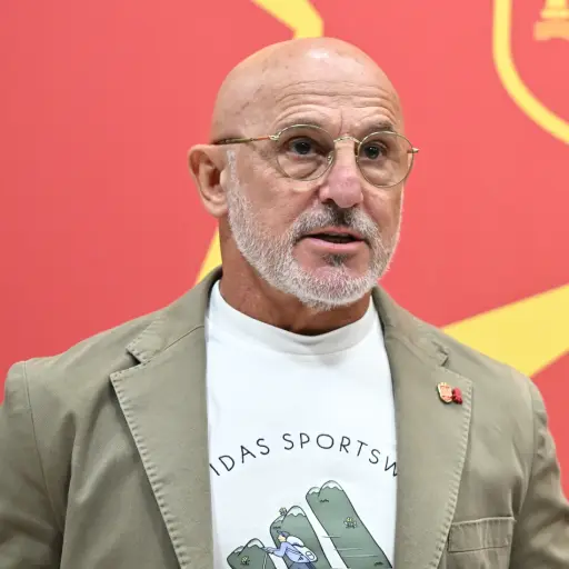 Luis de la Fuente, técnico de España 