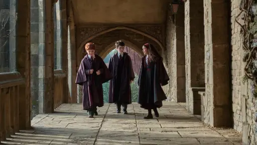 Harry Potter ,Redes sociales